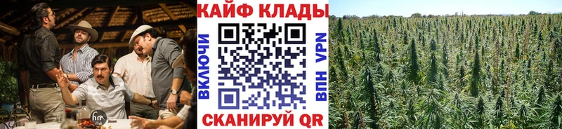 Виды наркоты Светлоград Канабис гидра ссылки ТГК ГАШ A-PVP