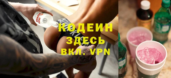 ПСИЛОЦИБИНОВЫЕ ГРИБЫ Арсеньев