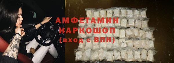 ПСИЛОЦИБИНОВЫЕ ГРИБЫ Арсеньев