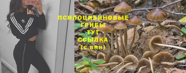 марки nbome Аркадак
