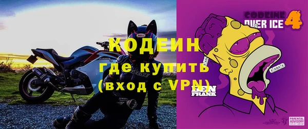 ПСИЛОЦИБИНОВЫЕ ГРИБЫ Арсеньев