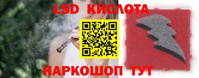 прущие грибы Дубна