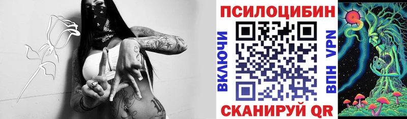 блэк спрут вход  закладки  Светлоград  Галлюциногенные грибы Cubensis 