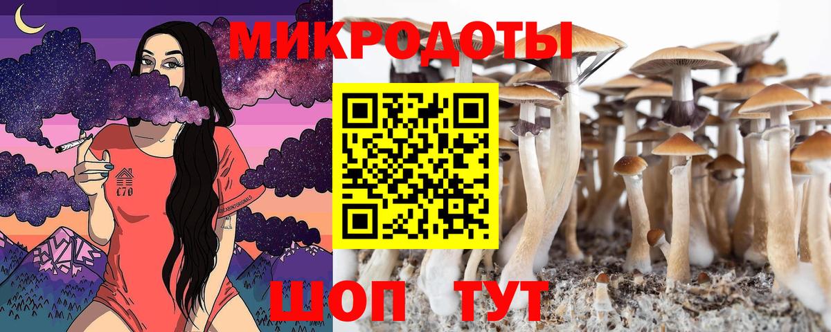 Светлоград  Псилоцибиновые грибы ЛСД  Вход с VPN  закладка  Галлюциногенные грибы ЛСД 